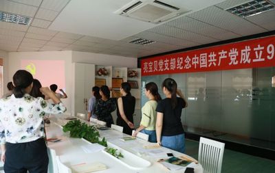 任城区亮宝贝教育咨询集团 坚持“三融入三同步”激发党建新活力